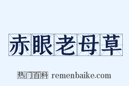 赤眼老母草是什么意思的图片
